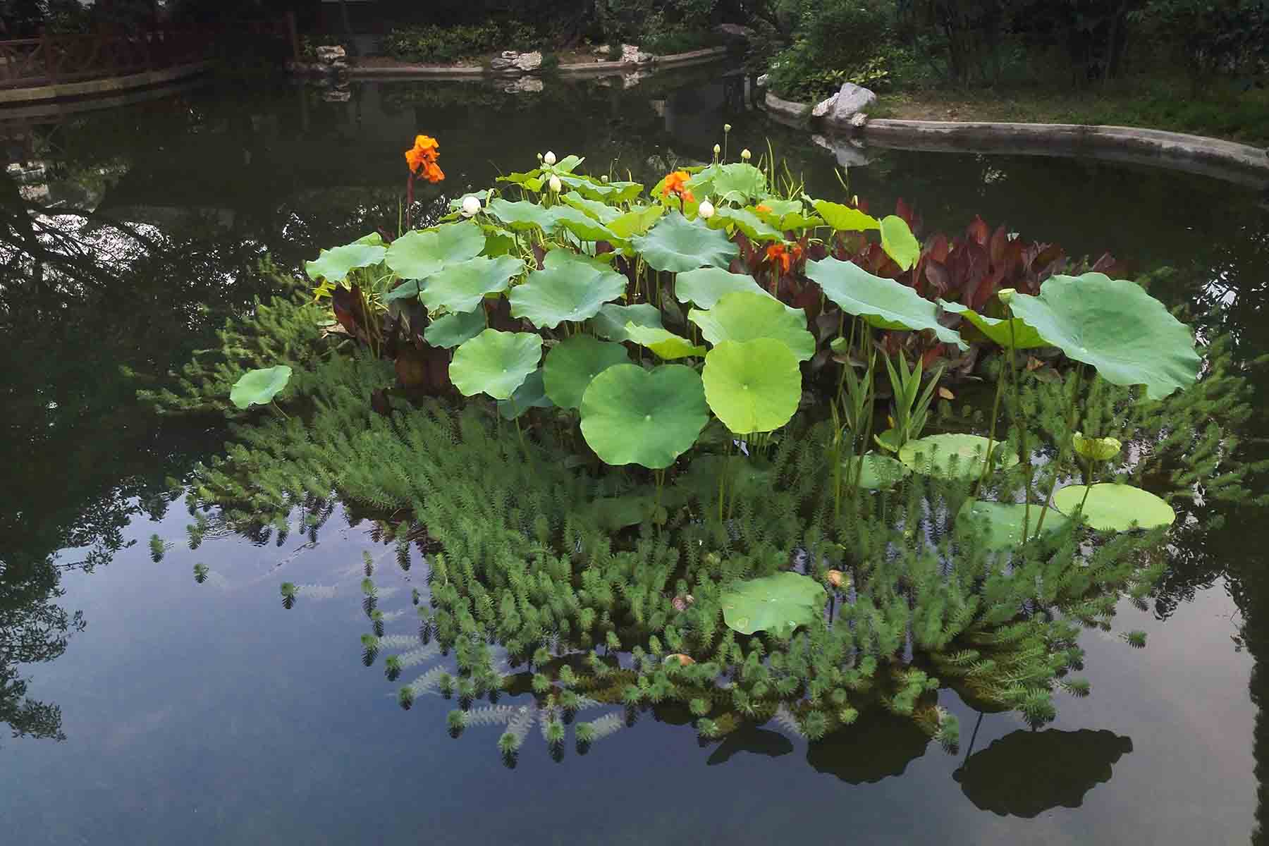Chengdu Culture Monastery