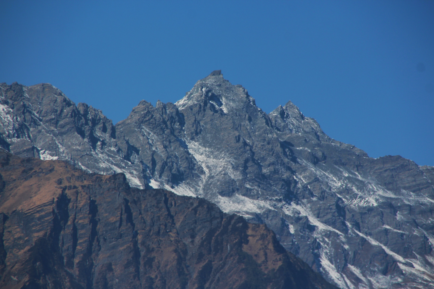 Wolong