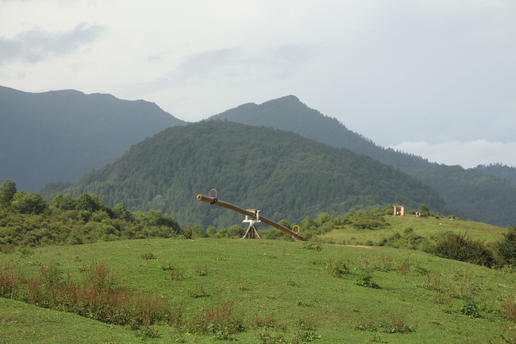 Wolong