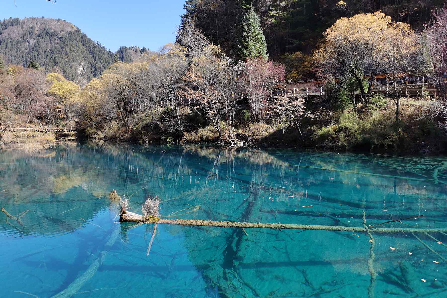 Sichuan Travel Guide