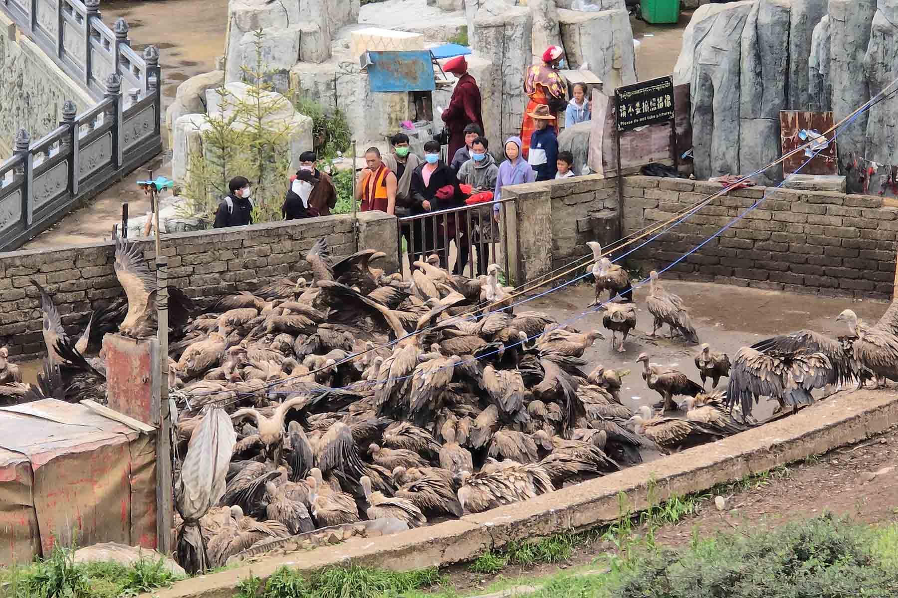 Sky Burial