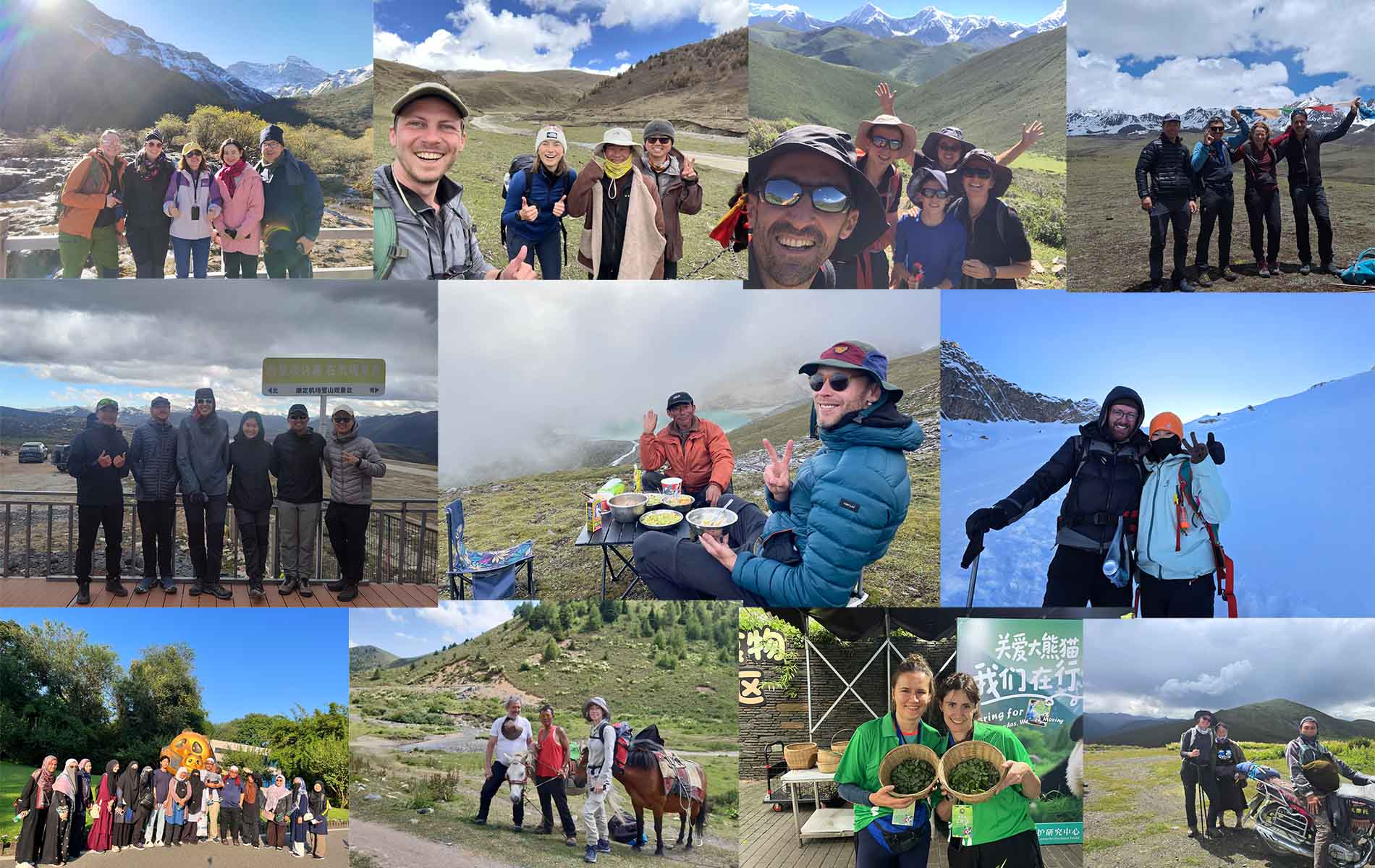 STG service feedback