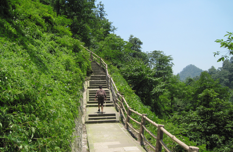 Mount Emei Hiking Tour