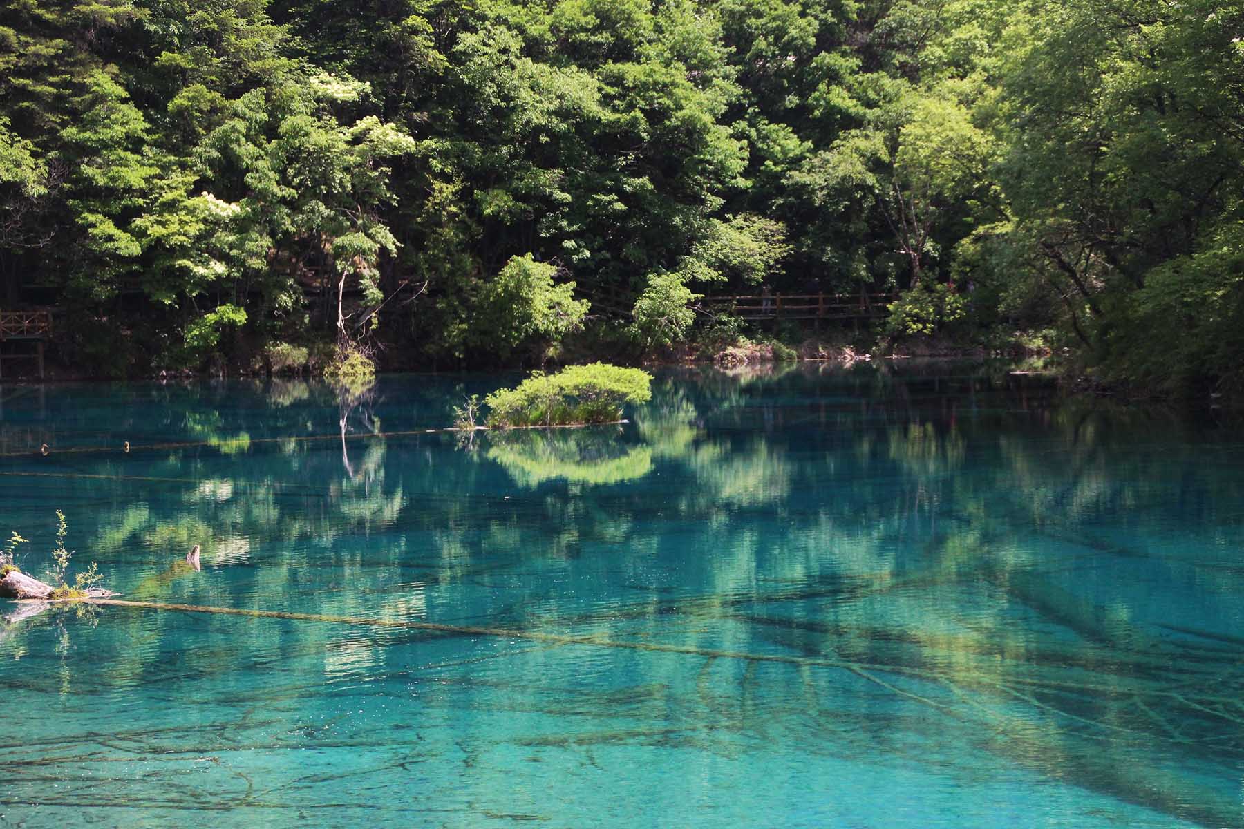 Chengdu Highlights + Jiuzhaigou - 5 Days